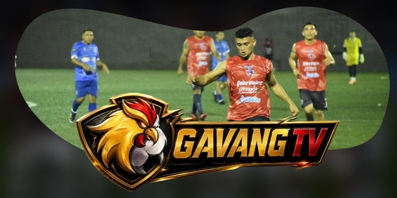 Tổng hợp dự đoán kèo AD Cariari Pococi vs Pitbulls ngày 04/09 theo khoảng trống hai biên