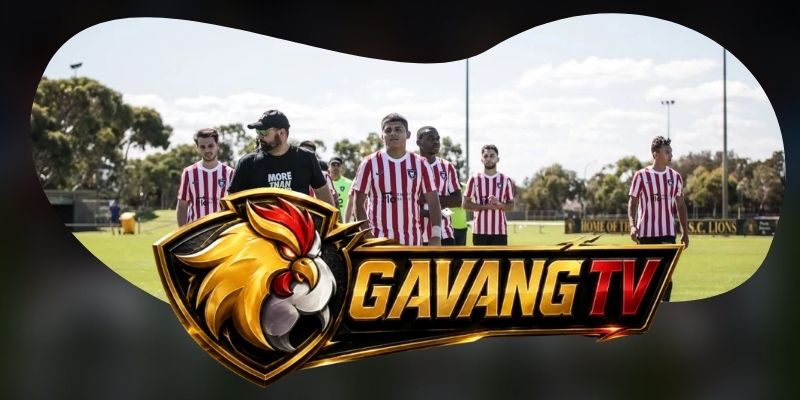 Dự Đoán Trận AD Cariari Pococi Vs Pitbulls 02h00 04/09