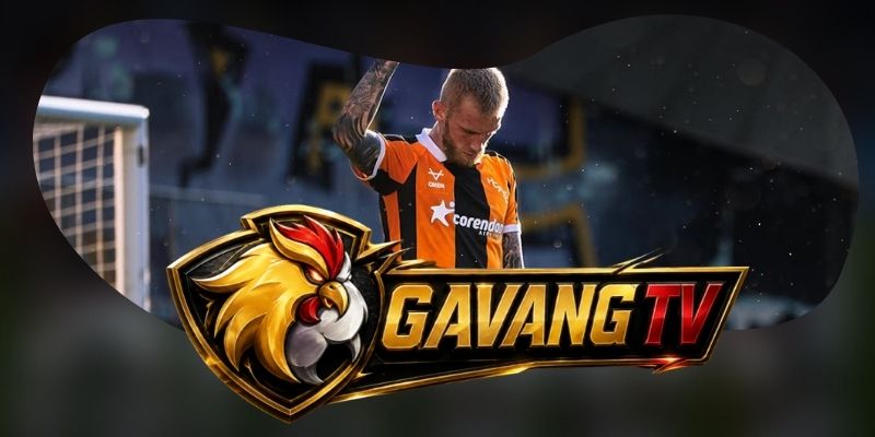 Tổng hợp dự đoán kèo Coventry City vs Hull City ngày 29/08 theo áp lực sân nhà
