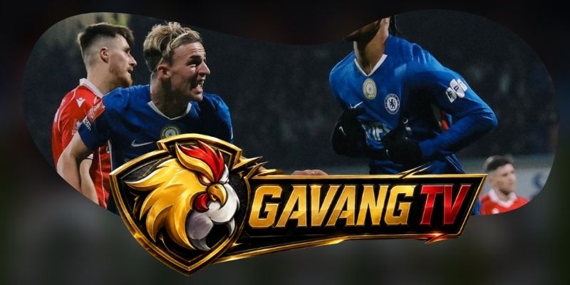 Tổng hợp dự đoán kèo Fulham vs Chelsea ngày 25/08 theo hiệu suất dứt điểm