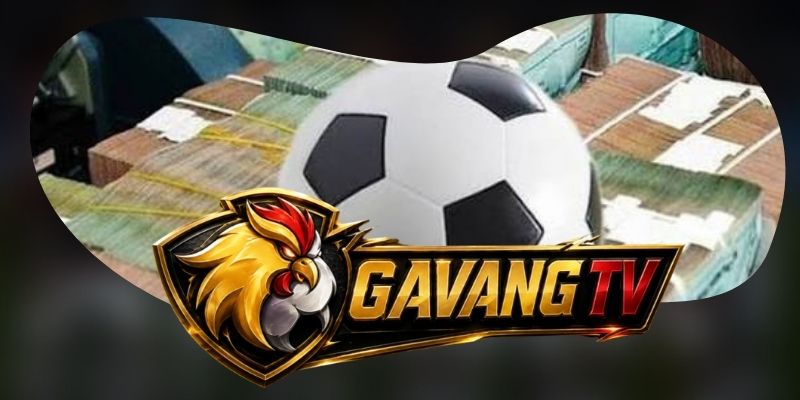 Từ lịch thi đấu đến stream được nối trong một hành trình